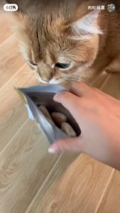 Hells Kitchen อกไก่อกเป็ด ฟรีซดรายพรีเมี่ยม100% ถุงยักษ์!ชิ้นใหญ่! สำหรับแมวและสุนัข B1