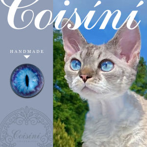 Mắt Kính Mô Phỏng Cho Thú Cưng Bằng Lông Cừu Thủ Công DIY Vòng Lông Đức Mắt Cho Mèo DIY Kit Vật Liệu Và Dụng Cụ