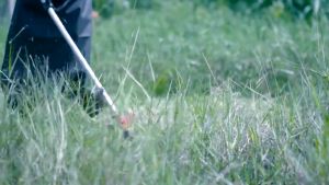 REAIM เครื่องตัดหญ้า 2/4 จังหวะ 10000R / นาที ถังน้ำมัน 1.2L เครื่องตัดหญ้าสะพายบ่า มัลติฟังก์ชั่น เครื่องตัดหญ้าไร้สา