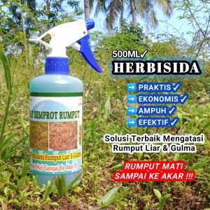 Cairan Pembasmi Rumput Liar & Gulma/Herbisida/Rumput Mati Sampai Akar/500ML