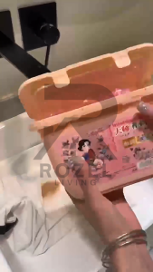 ROZEL Gel Ball Sabun Cuci Baju 3in1 Laundry Detergen Ball 3in1