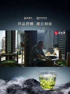 Biluo | Superior Fragrant Jasmine Tea 100g