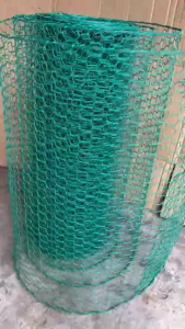 ( Khổ cao 50cm x dài 1m ) Lưới sắt mắt cáo màu Xanh Ô lục giác chất lượng làm chuồng nuôi gà vịt thú cưng GIÁ / 1M TỚI