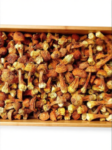 Wild Edible Mushrooms 500g