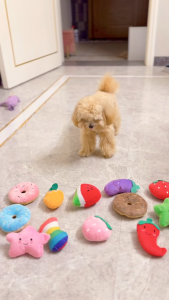 Pet Toy Interactive Toy Plush Squeaky Stuffed Toys Chewing Soft Toy Pet Molar Toy Dog Accessories