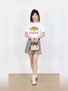 Classic Rowan18 Mini Boston Bucket Bag Pillow Handheld Small Bag Outlet Womens Bag Model: CR244 Size: 17*12*10cm