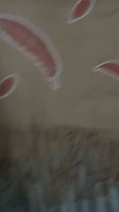 Khăn quàng cổ choàng cổ nữ làm quà tặng mẹ bạn gái cô giáo 8/3 20/10 20/11 sinh nhật