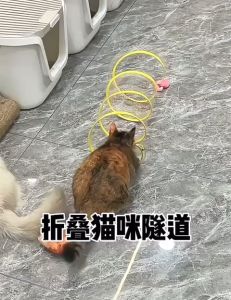 Cat Tunnel Passage Feather Teaser Stick Toy Mouse | Laluan Terowong Kucing Alat Main Bulu Tikus Teaser Batang | 猫隧道羽毛老鼠猫咪玩具不易变形耐玩 折叠猫通道