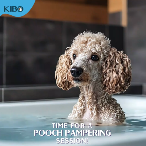 Kibo Furever Breezy Moisturizing Pet Shampoo Ocean Breeze 1000ml anti bacterial anti viral long lasting scent
