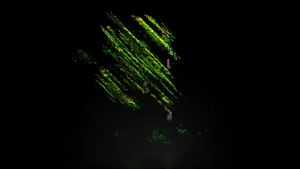 NUBWO NM-89m PLESIOS Macro Mouse เมาส์มาโคร เมาส์ เมาส์เกมมิ่ง รับประกัน1ปี