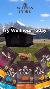 【Pet Mates】Wellness CORE - Grain-Free & Protein Rich Nutrition Kibble Dry Dog Food