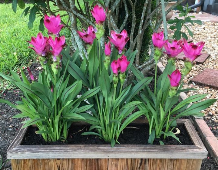 img.lazcdn.com/g/ff/kf/S1fba6497d9394b5791014ba6b3..., image size:720x560