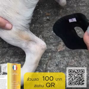 Dog Extra Supportive Canine Rear Injury Support Sleeves Ankle Brace Support for Dogs Elbows and Knees GHYY-MY