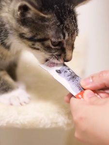 50pcs BIXIA Cat Treats 16gr Makanan Snack Cemilan Kucing Liquid Creamy Treat untuk Anak Kitten Dewasa