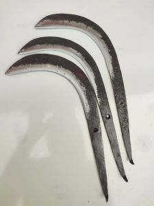EGREK PINANG DAN BUAH-BUAHAN