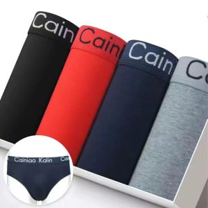 [Yasilan] Mens Triangle Underwear Pure Cotton Mid-Waist Youth Modal plus Size Bottom Shorts 100% Cotton