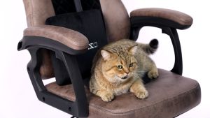 MUSSO Mars Series 129A Leathaire Gaming Chair Waterproof scratch-resistant Adjustable Office Chair