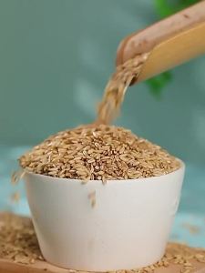 ZHENSHANGZUI | Diabetic Friendly Low Fat Sugar-Free Oatmeal Grains