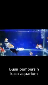 Scraper STAINLESS 50 cm - Tongkat Pembersih Kaca Aquarium Sikat Spon
