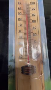 เทอร์โมมิเตอร์ 8.5 นิ้ว - ปรอท ปรอทวัดอูนหภูมิ เครื่องวัดอูนหภูมิ เทอร์โมมิเตอร์(ไม้)ติดผ่าน วัดอูนหภูมิห้อง ราคา 1,500 ฿