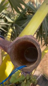 ตาลโตนดเพชรบูรณะ X4 (4 กระปูก) ไม่ผสมน้ำตาลทราย 2 กิโล