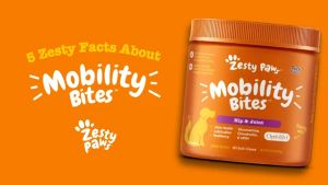 Viên Bổ Hổ Trợ Hông Khớp Cho Chó Mèo Zesty Paws - Mobility Bites Giảm Teo Cơ Hổ Trợ Sụn Mô Liên Kết