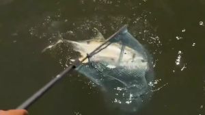 MUXI Set Tongkat & Gulungan Pancing Set 1.8M/2.1M Joran Pancing Set 5.2:1 Rasio Gear Reel Pancing Spinning Fishing Reel Combo