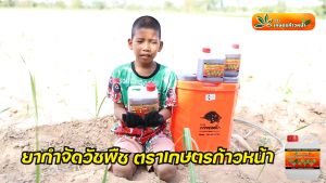 ปลอดภัยทั้งคนและดิน สารกำจัดหญ้าอินทรีย์ เกษตรก้าวหน้า ซื้อ 1 แถม 1 คุ้มสุด! ส่งฟรี