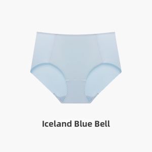 Seamless Sweat Absorption Womens Briefs