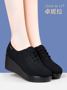 ZHUONILA | Dancing Comfortable Lightweight Cloth Shoes