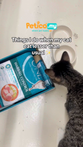 Purina One 2.7kg Dry Cat Food (Kitten/Adult Salmon /Indoor Advantage /Hairball Control)