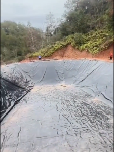 【COD】500 MICRONS fish pond liner black Geomembrane HDPE material Garden pool landscaping reservoir/lotus pond/pond waterproof membrane dedicated for aquaculture ponds Durable for 50 years