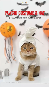 POMAPOO - Kostum Kucing dan Kostum Anjing Pawchi Costume & Hat