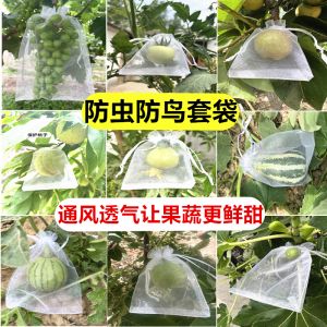 Insect-Resistant Fruit Tree Bagging Cloth Protection for Grapes Figs Passionfruit Strawberries Peaches Prevent Bird Damage