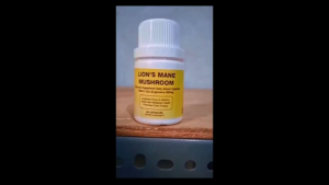 Tingkatkan fokus ingatan & imun tubuh dengan Lions Mane 500mg original + GRATIS EMAS!
