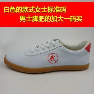 Qingdao Eagles Genuine Goods Martial Arts Shoes Practice Shoes Mens and Womens Tai Chi Shoes Morning Exercise Shoes Kung Fu Training Shoes Canvas Shoes Spring and Summer