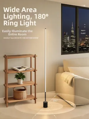 Minimalist Style Ins Floor Lamp