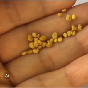Sugar Glider Bee Flower Nutritional Food 蜜袋鼯蜂花营养食