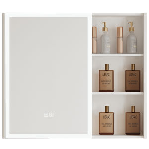 LANKASI | Intelligent 304 Stainless Steel Bathroom Mirror Cabinet