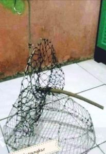 sangkar burung jebak pikat trap jaring..