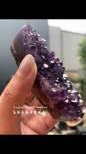 乌拉圭帝王紫水晶 #king 招财genggeng👍 Uruguay Raw ESP Amethyst 🔮  #uruguay #amethyst #帝王紫水晶 #招财贵人  #乌拉圭 #财位