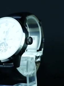 Seagull Mens Watch Automatic Mechanical Watch Business Casual Hollow Flywheel Multi-Function Dial Mens Watch 219.328