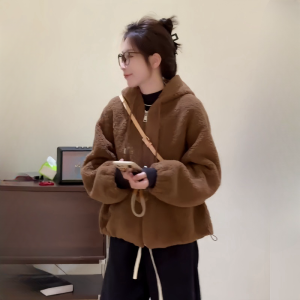 Soft Glutinous Hooded Zipper Lamb Wool Casual Cardigan Winter New Arrival Younger Fashion Thickened Heattech Bandage Dress Short Coat