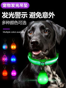 Pet Night Walking LED Warning Light Dog Collar Pendant Rechargeable Waterproof Fluorescent Light for Dogs Outdoor Activities