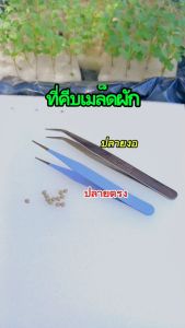 ที่คีบเมล็ด คีบต้นกล้า คีบอเนกประสงค์ จำนวน 1 ชิ้น