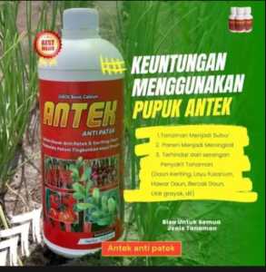 Pupuk Antek Anti Patek dan keriting daun 1 Liter BELI 3 FREE 1 TERAMPUH