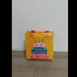 SG EmmAmy® Childrens Portable Handbag Waterproof Goodie Bag Kids Birthday Party Gift Packaging Bag