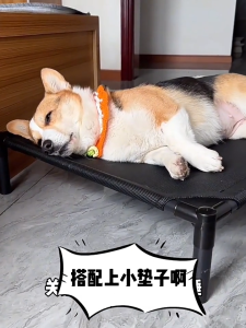 Lovinland Pet Dog Bed Cooling Elevated Dog Bed Portable Raised Pet Cots with Breathable Mesh No-Slip Feet for Indoor & Outdoor Travel Camping