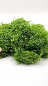 Fake Moss Artificial Green Moss for Crafts Potted Plants Fairy Garden Mini Landscape Model Making Wedding Table Home Decoration
