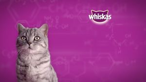 Makanan BASAH kucing WHISKAS POUCH 80 GRAM ECER whiskas sachet cat wetfood all varian Wet Food Kucing Natural Kucing Semua Tahap Hidup - Lazada